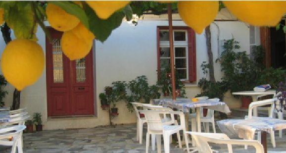 Lemon House Apartment Kokkari Exterior photo